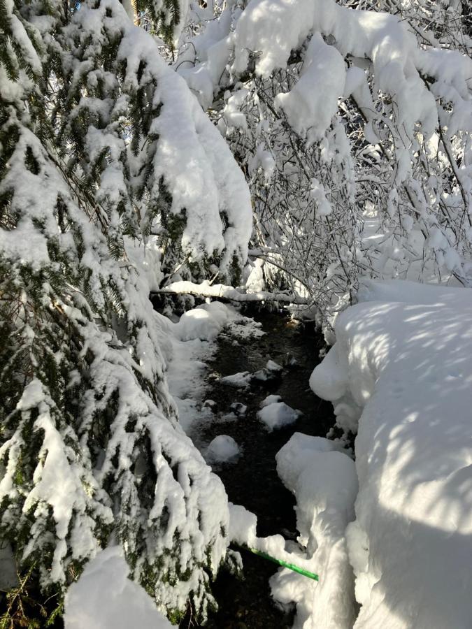 Ferienwohnung Bergblick Am Rande Der Wildnis Sibratsgfäll Exterior foto